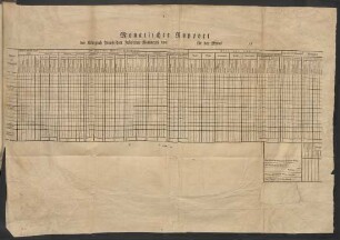 Monatlicher Rapport des Königlich Preußischen Infanterie-Regiments von [] für den Monat [] 17[]