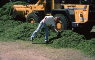 Fotografie: Ein- und Auslagerungstechnik, Flachsilo, Maissilage, Radlader, Feldtest