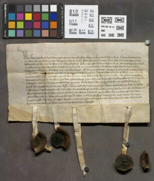 Friedberg: Quittung über 400 Mark dem Grafen v. Hohenstein bezahlter Reichssteuer