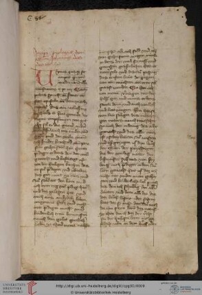 Bruder Berthold (von Freiburg; Berthold der Bruder), Die deutsche 'Summa Johannis'