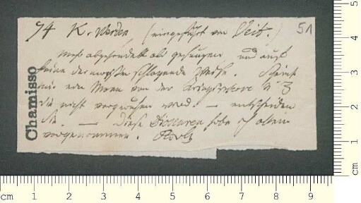 Briefsammlung von Adelbert von Chamisso und Gustav Schwab an Adelbert von Chamisso und Gustav Schwab