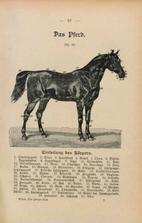 Fig. 46. Einleitung des Körpers