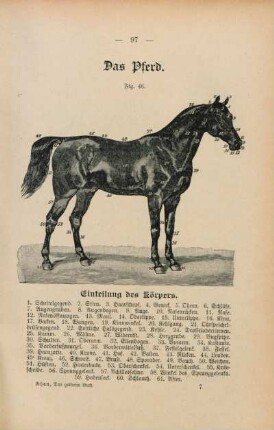 Fig. 46. Einleitung des Körpers