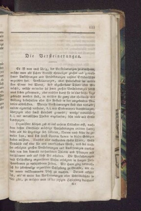 Die Versteinerungen.