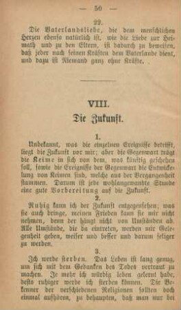 VIII. Die Zukunft