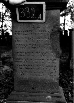 Grabstein 332 (Index: 100111954) Material: Sandstein Zustand: verwittert, beschädigt mit Textverlust Maße HxBxT: 138x62x35 cm Beschreibung: Stele, profilierter Sockel, Abdeckplatte mit Voluten Symbolik: Voluten: Grabstein 332A