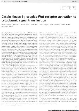 Casein kinase 1 gamma couples Wnt receptor activation to cytoplasmic signal transduction