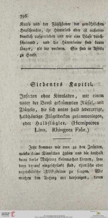 Siebentes Kapitel