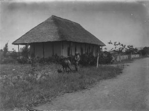 Mann mit Pferd : Mann mit Pferd neben einem Haus