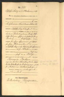 Standesamtsbuch der Stadt Aschaffenburg: Geburten 365/1900 - 184/1901