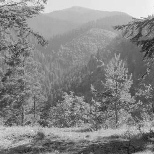 Landschaft um Rila-Gebirge in Bulgarien