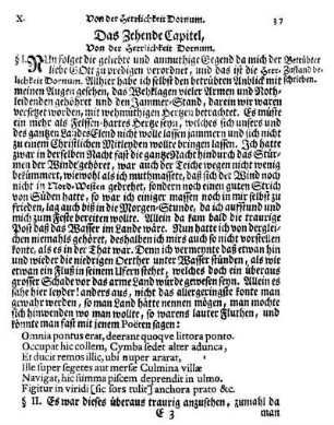 Das Zehende Capitel, Von der Herrlichkeit Dornum