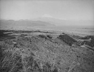 Teehügel von Shimizu : Teeanbau bei Shimizu. Blick über die Felder zum Fuji-san