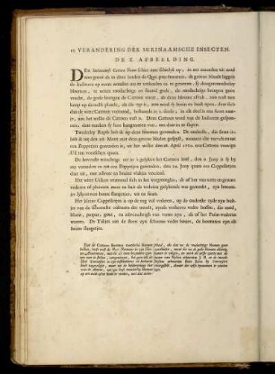 De X. Afbeelding