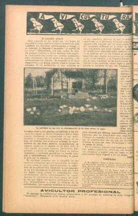 Avicultura : El moquillo aviario