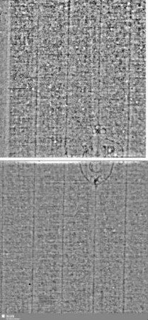 Hammer in Kartusche / FCR = S.3/4+7/8