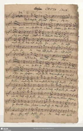 Canto Solo.