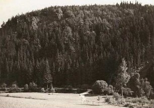 Erzgebirge. Tal der Schwarzen Pockau. Vogeltoffelfelsen
