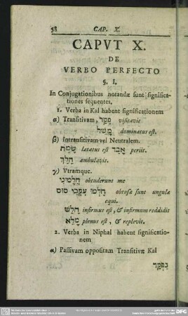 Caput X. De Verbo Perfecto