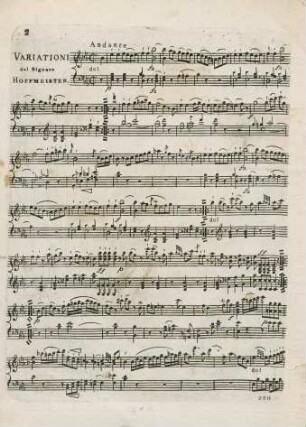 Variationi del Signore Hoffmeister