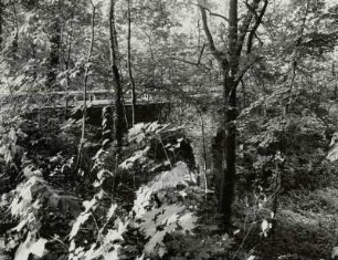 Glauchau, Schlosspark Forder- und Hinterglauchau mit Brücke