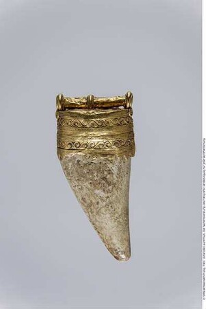 Etruskischer Anhänger: Bärenzahn in Goldfassung