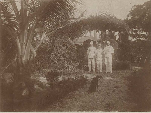 Three Europeans in a garden in Dar es Salaam