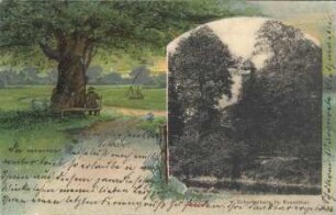 Leipzig: Scherbelberg im Rosenthal
