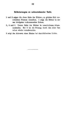 Erläuterungen zu nebenstehender Tafel.