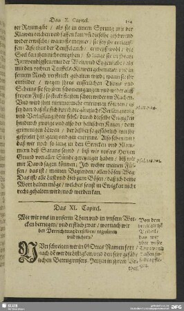 Das XI. Capitel. Wie wir uns in unserm Thun, und in unsern Wercken betriegen, und erstlich zwar, wornach wir uns bey Verrichtung derselben, regulieren unnd richten