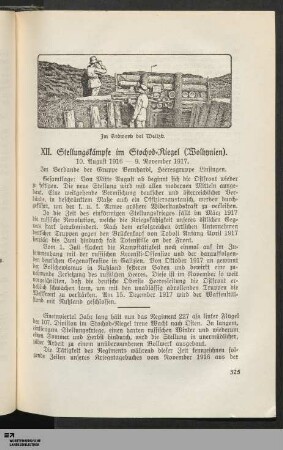 XII. Stellungskämpfe im Stochod-Riegel (Wolhynien) (10.8.16-9.11.17)