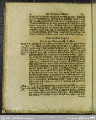 Das Sechste Capitel, Vom übrigen Schaden in Ost-Frießland