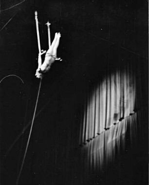 Scala: Miss Dania am Trapez; (schaukelt)