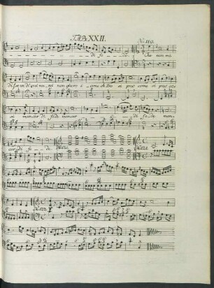 Tab. XXII