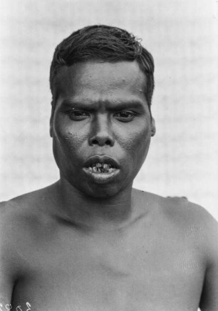 Plantagenarbeiter (Deutsche Indien-Expedition 1926/1929 - 4. Andamanen)