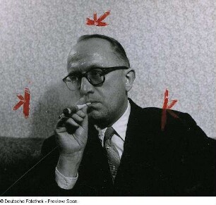 Portraitserie Walter Hallstein