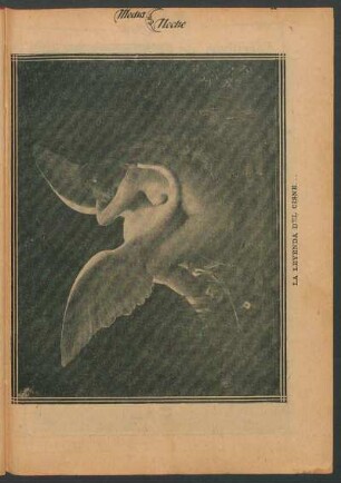 La leyenda del cisne [Ilustración]