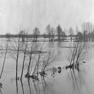 Spreewald um 1940. Überflutete Wiesen und Felder. : Błóta wokoło 1940. Přepławjene łuki a pola.