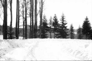 St. Peter; Sägendobel: Neue Kandelstraße; Serpentine bei km 4; Kurve im Wald