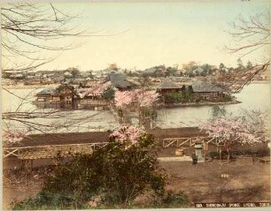 Shinobazu-Teich im Stadtteil Ueno, Tokio