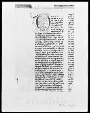 Expositio psalmorum Aurelii Augustini — Initiale D(omine), Folio 8verso