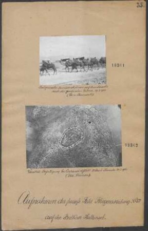 Bulgarische Munitionskolonne auf dem Marsche nach der griechischen Grenze 19.03.1916