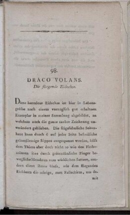 98. Draco Volans. Die fliegende Eidechse.