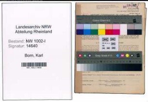 Entnazifizierung Karl Born, geb. 16.11.1898 (Revisor)