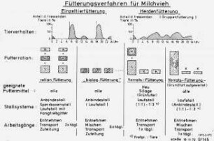 Fütterungsverfahren für Milchvieh