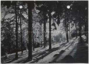Winterlandschaft, Taunus, Feldberg