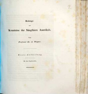 Beiträge zur Kenntniss der Säugthiere Amerika's, 1
