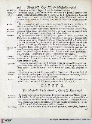 Caput X: De Musculis Volae Manûs, Carpi et Metacarpi