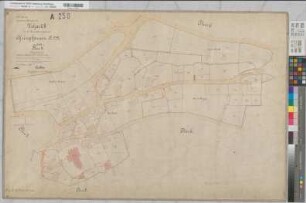 Assinghausen (Olsberg), Separation Assinghausen, Bl.8 Urkarte II Flur 8