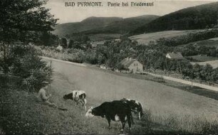 Friedensthal